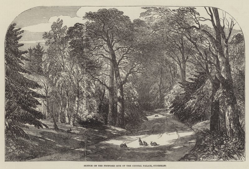 Skizze des vorgeschlagenen Standorts des Crystal Palace, Sydenham von Samuel Read