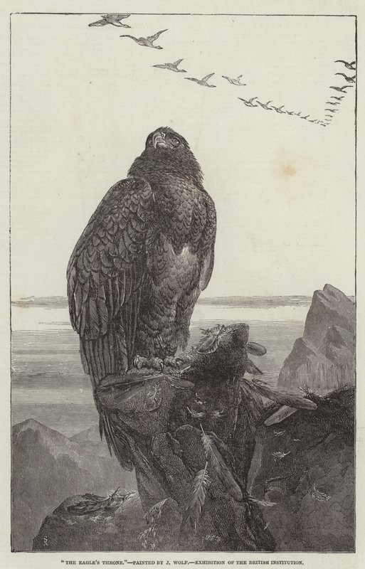 Der Adlerthron, Ausstellung der British Institution von Samuel Read