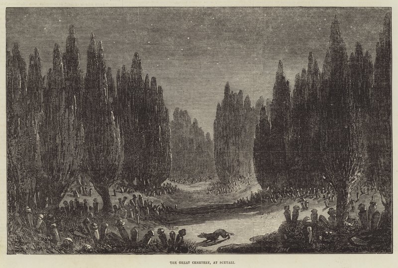 Der große Friedhof in Scutari von Samuel Read