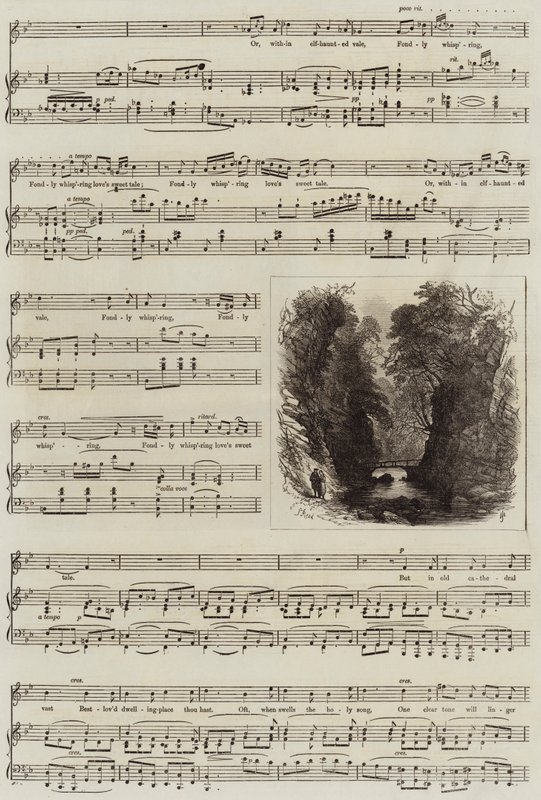 Echo von Samuel Read