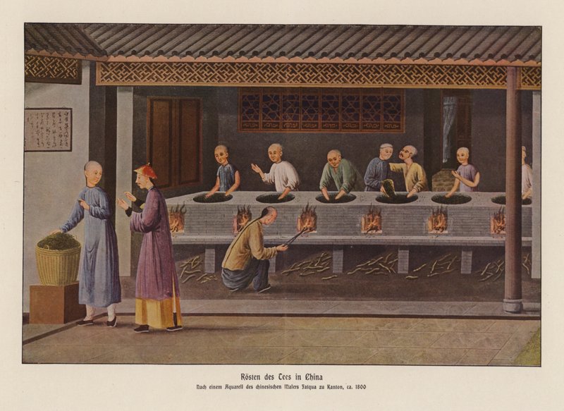 Tee rösten in China von School Chinese