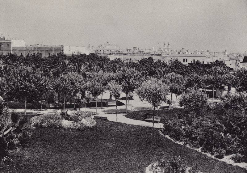 Cadiz: Parque Genovés von Spanish Photographer