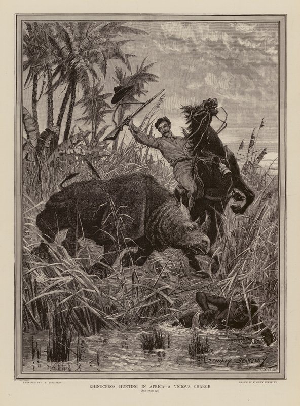 Nashornjagd in Afrika von Stanley (after) Berkeley