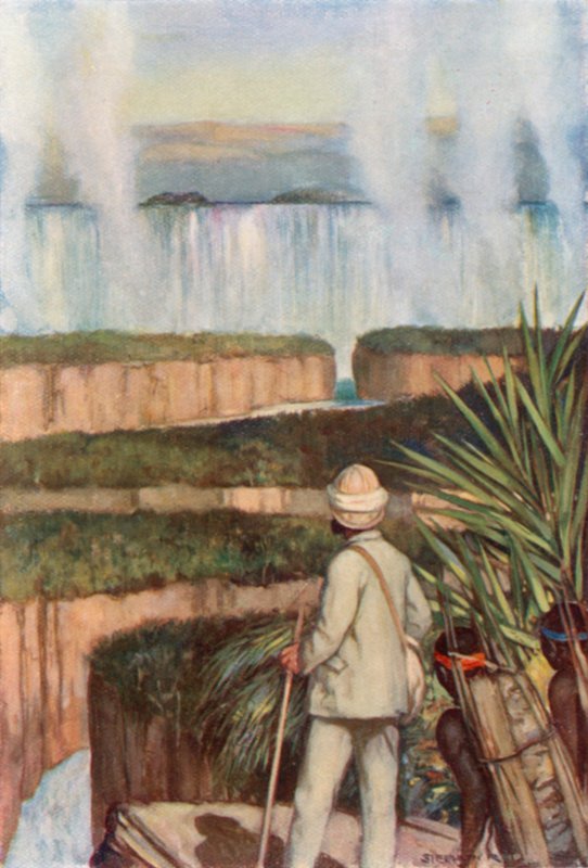 Livingstone an den Victoriafällen von Stephen Reid