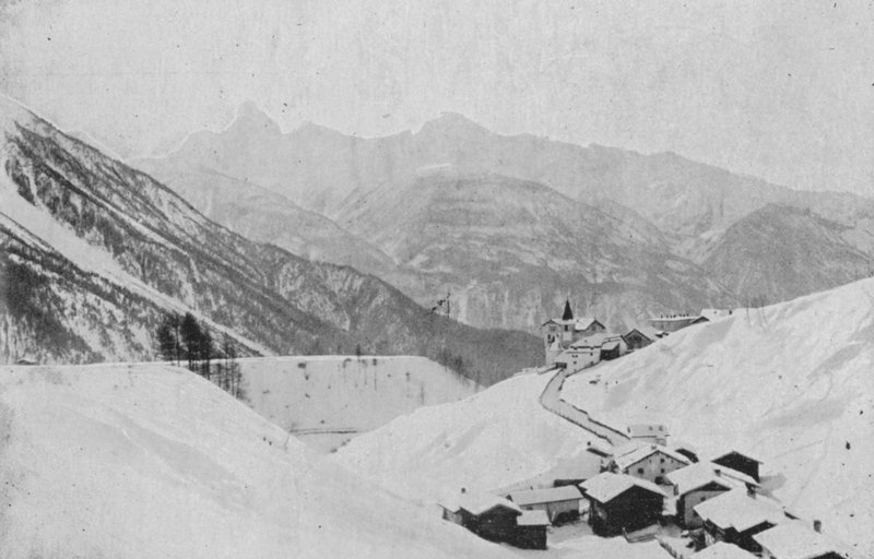 Wiesen bei Davos von Swiss Photographer