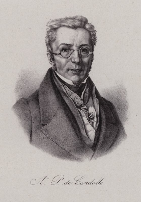 Augustin Pyramus de Candolle, Schweizer Botaniker von Swiss School