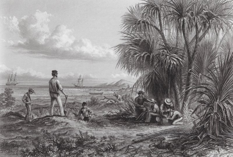 Australien: Lager eines Entdeckers von Thomas (after) Baines
