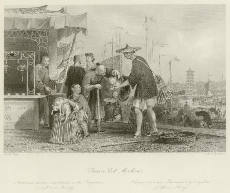 Chinesische Katzenhändler von Thomas Allom