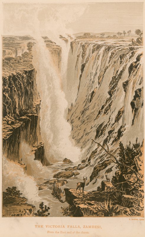 Die Victoriafälle von Thomas Baines