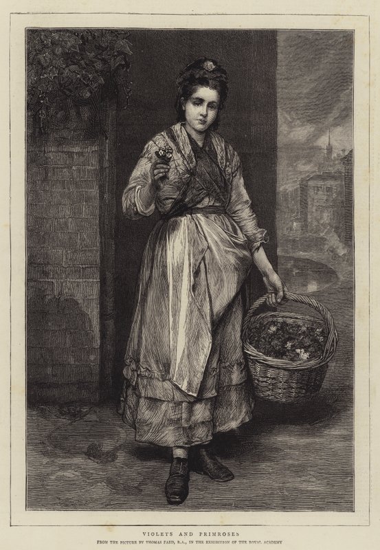 Veilchen und Primeln von Thomas Faed