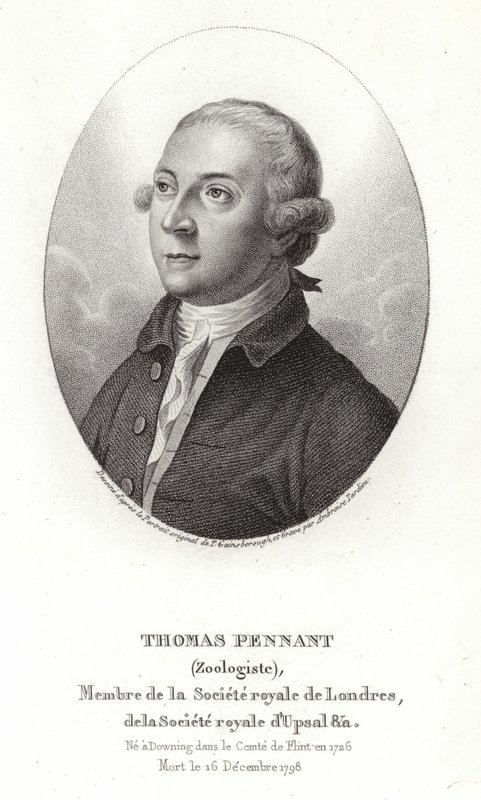 Thomas Pennant von Thomas Gainsborough