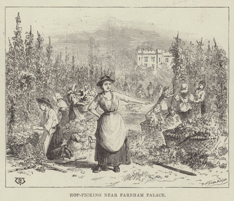 Hopfenernte in der Nähe des Farnham Palace von Thomas Harrington Wilson