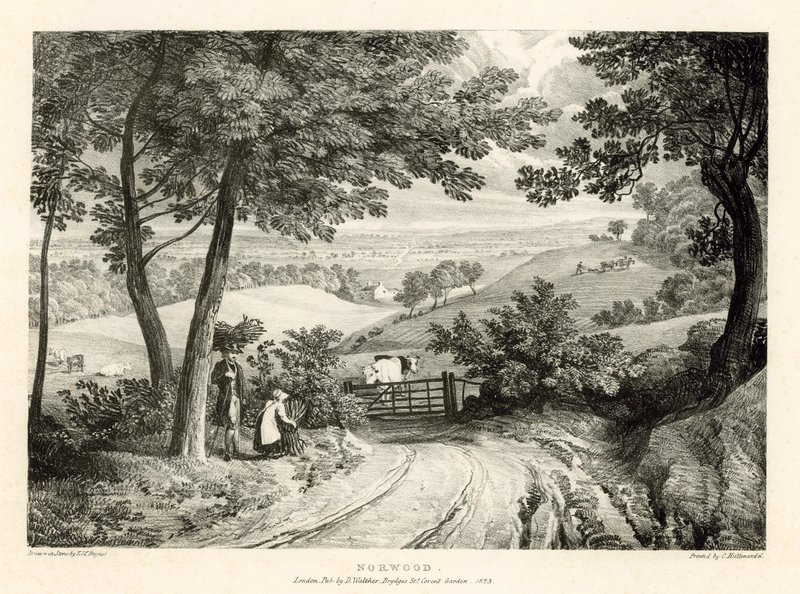 Norwood, London von Thomas Mann Baynes