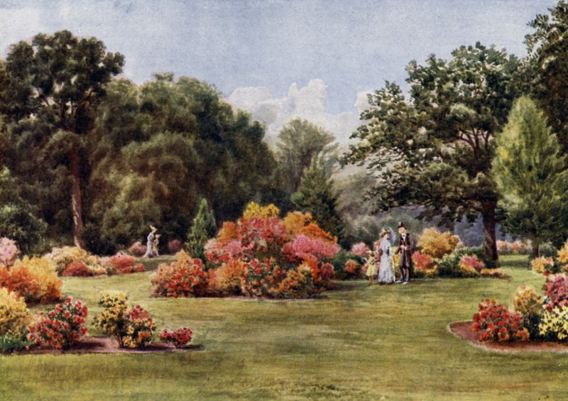 Kew Gardens: Die Azaleen (Farblithografie) von Thomas Mower Martin