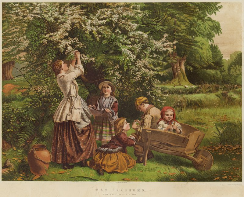 Maiblüten von Thomas P. Hall