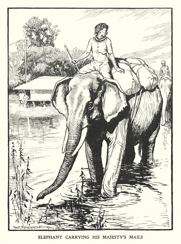 Elefant trägt die Post Seiner Majestät (Lithografie) von Thomas Somerfield