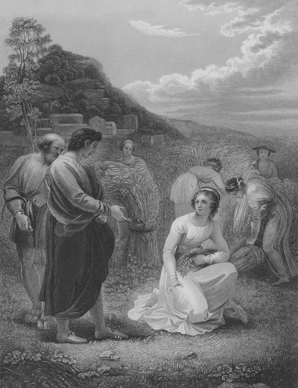 Ruth beim Ährenlesen, Ruth 2, Vers 1-15 von Thomas Stothard