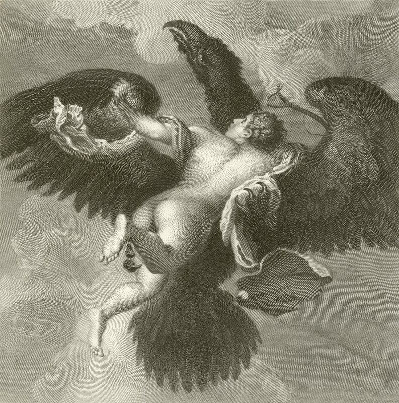 Ganymed von Tiziano Vecelli