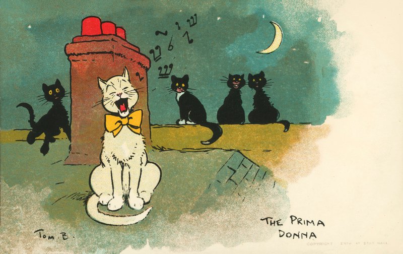 Primadonna von Tom Browne