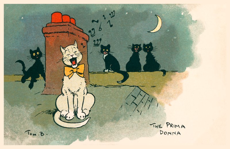 Die Primadonna von Tom Browne