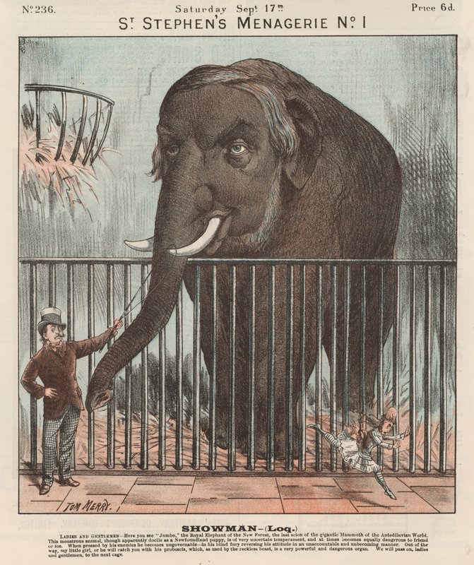 Jumbo (Farblithografie) von Tom Merry