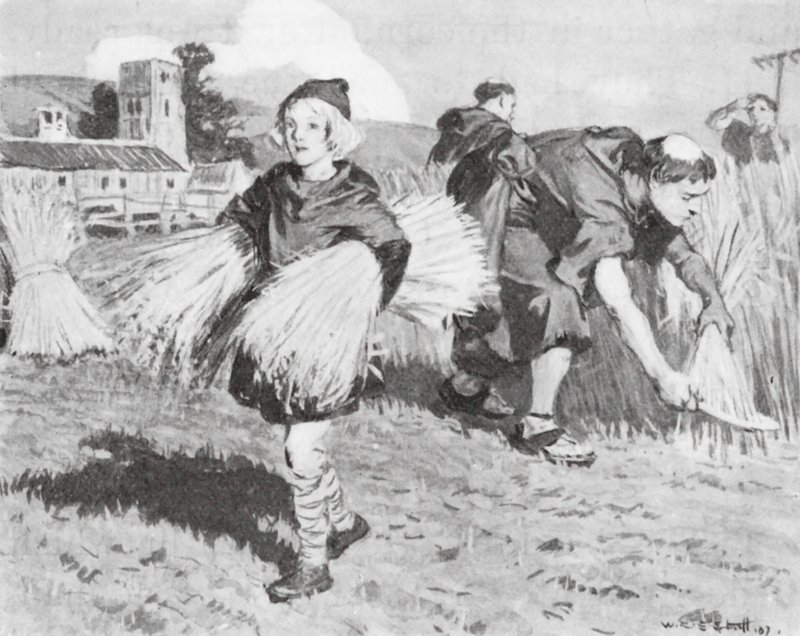 Beda auf dem Erntefeld von W.R.S. (after) Stott