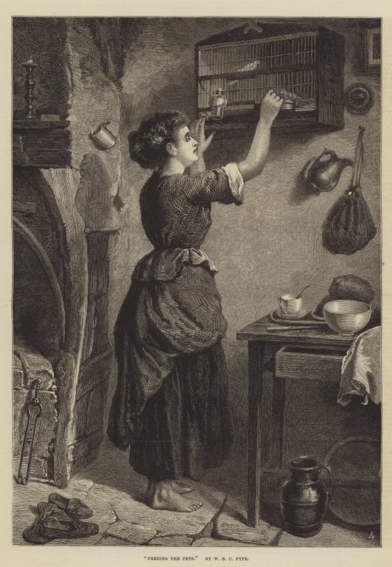 Die Haustiere füttern von W. Fyfe