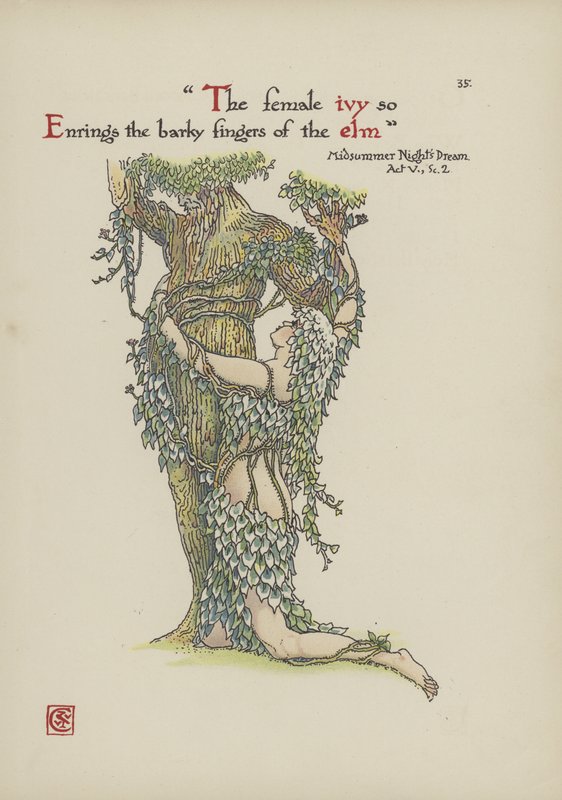 Blumen aus Shakespeares Garten von Walter Crane