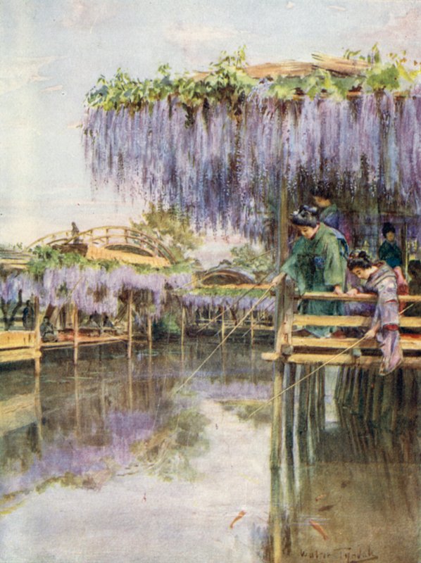 Wisteria in Kameido von Walter Frederick Roofe Tyndale