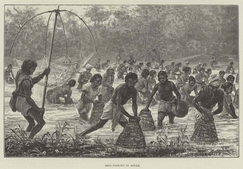 Beel-Fischen in Assam von Walter Paget