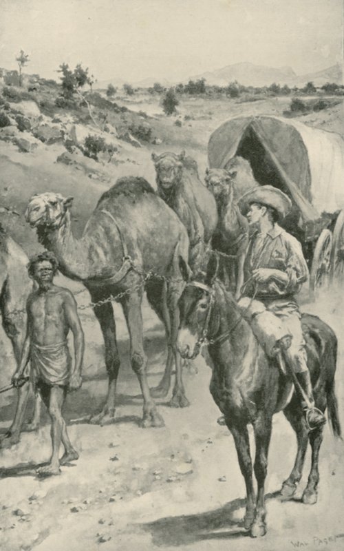 Eine Kamelkarawane, Westaustralien von Walter Stanley Paget