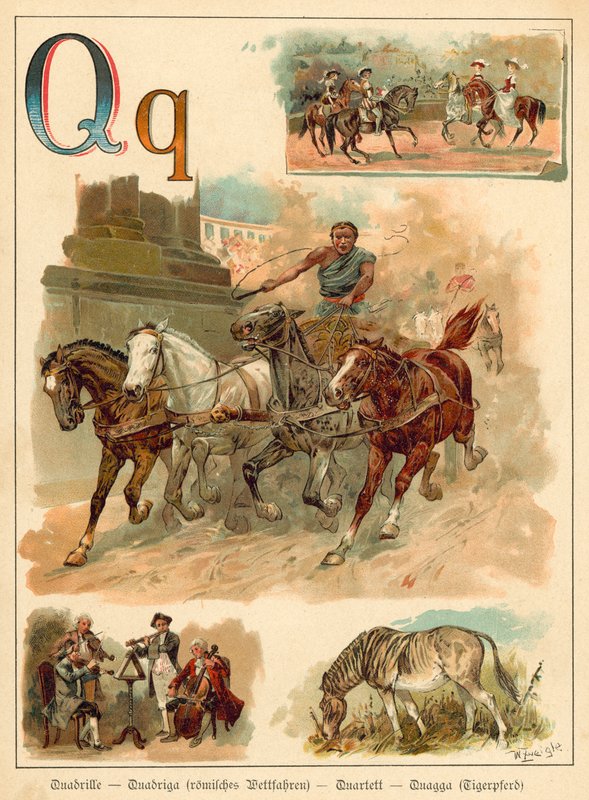 Buchstabe Q (Chromolitho) von Walter Zweigle