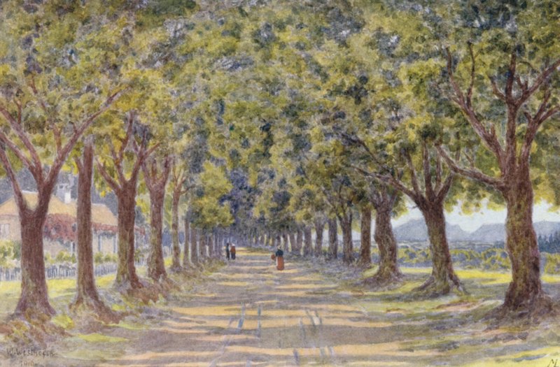 Eichenallee, Newlands von Wilhelm Westhofen