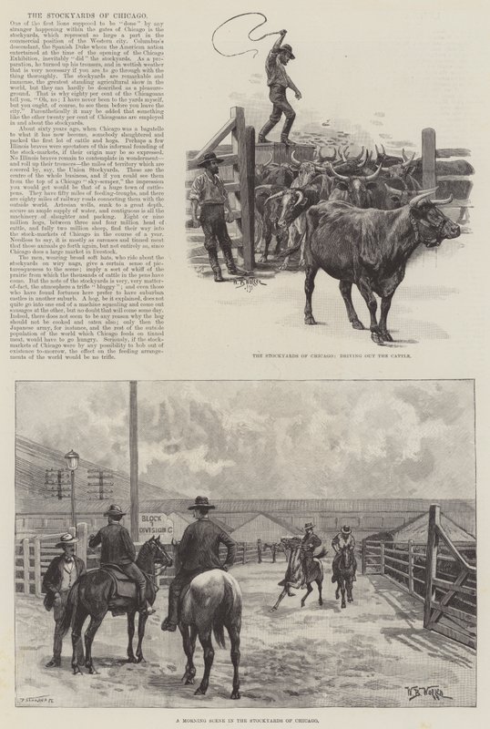 Die Schlachthöfe von Chicago von William Barnes Wollen