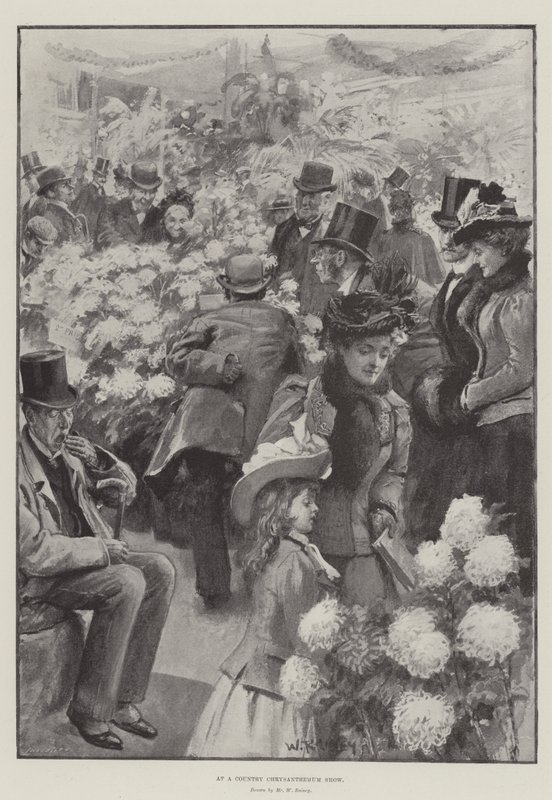 Auf einer Land-Chrysanthemen-Ausstellung von William Rainey