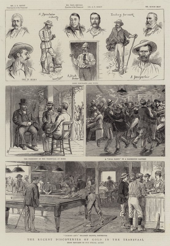 Die jüngsten Goldfunde im Transvaal von William Ralston