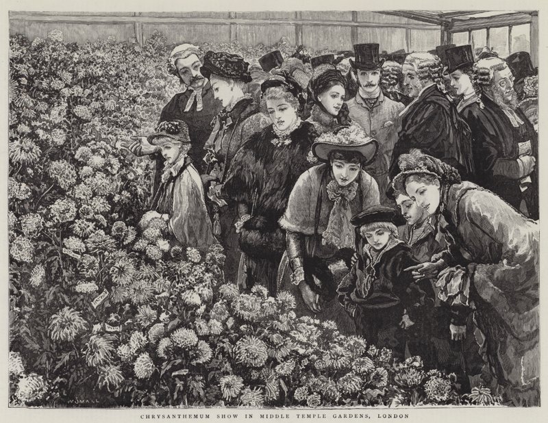 Chrysanthemen-Ausstellung in den Middle Temple Gardens, London von William Small