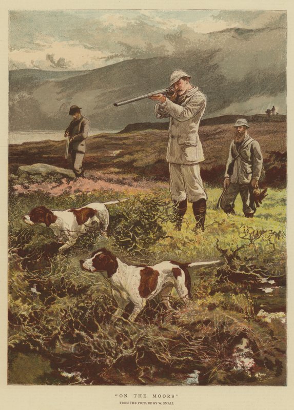 Auf den Mooren von William Small