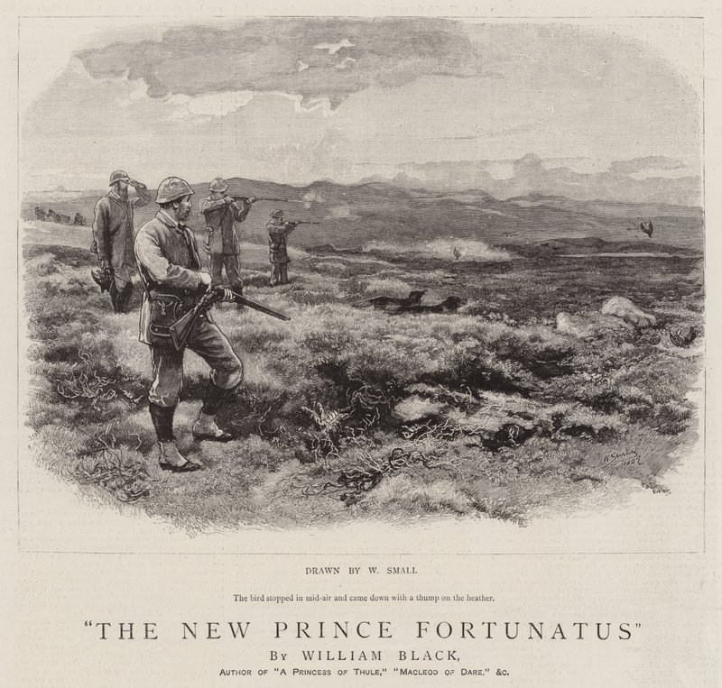 Der neue Prinz Fortunatus von William Small