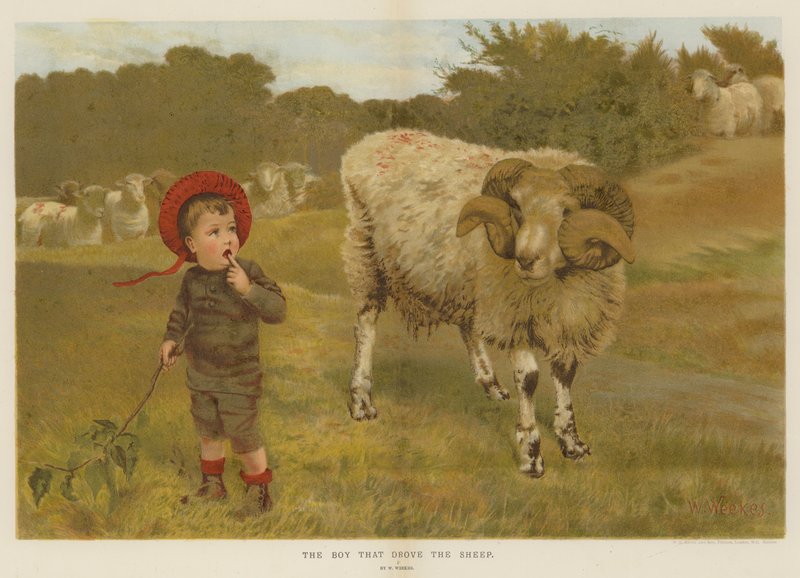 Der Junge, der die Schafe trieb von William Weekes