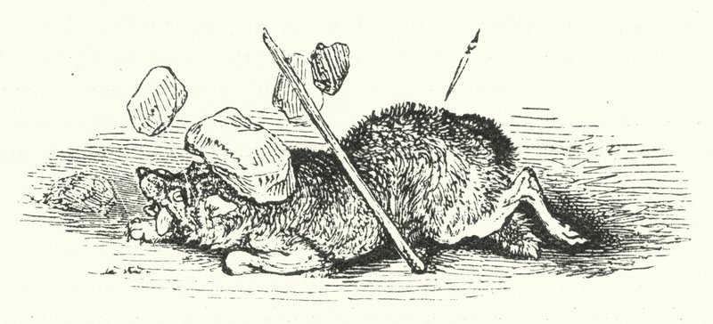 Tod des Wolfes (Stich) von William (after) Harvey