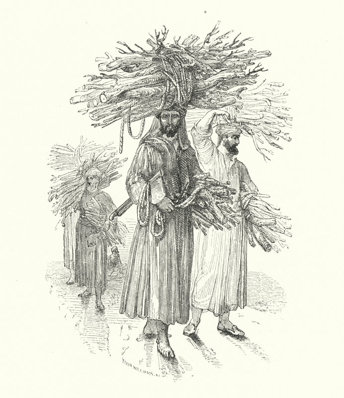 Zweiter Prinz als Holzfäller von William (after) Harvey