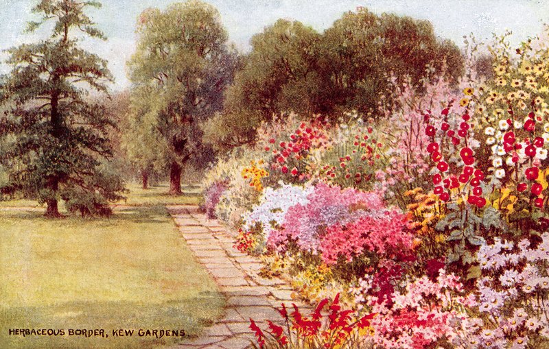 Staudenbeet, Kew Gardens von William Affleck Carruthers