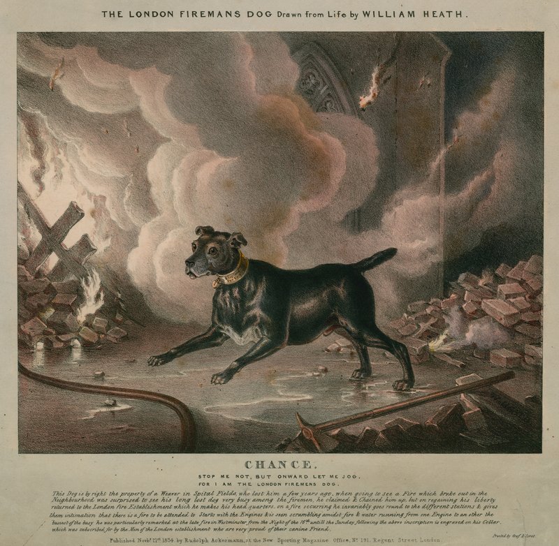 Der Hund des Londoner Feuerwehrmanns von William Heath