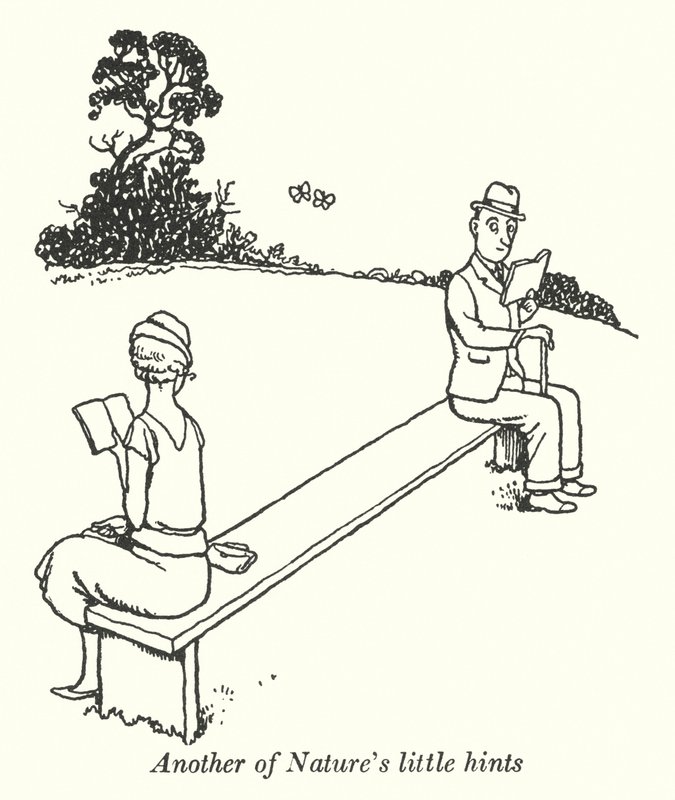 Ein weiterer kleiner Hinweis der Natur (Litho) von William Heath Robinson