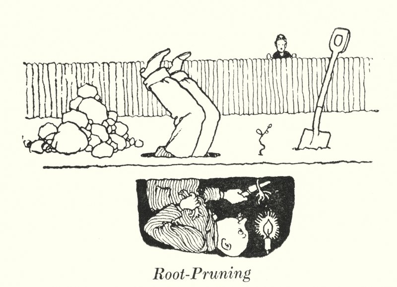 Wurzelbeschneidung (Lithografie) von William Heath Robinson