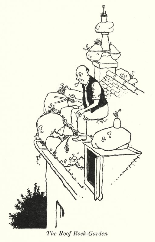 Der Dach-Felsengarten (Lithografie) von William Heath Robinson