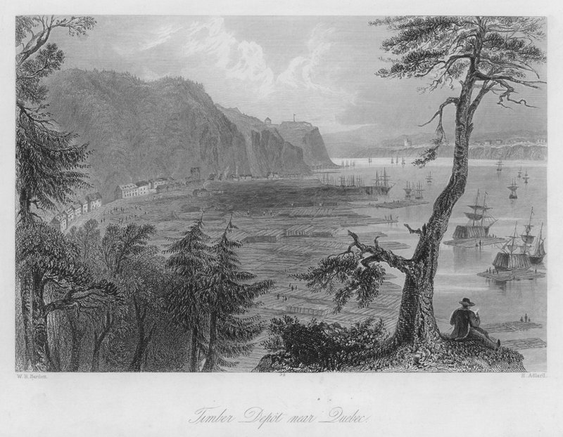 Holzlager in der Nähe von Quebec (Stich) von William Henry Bartlett