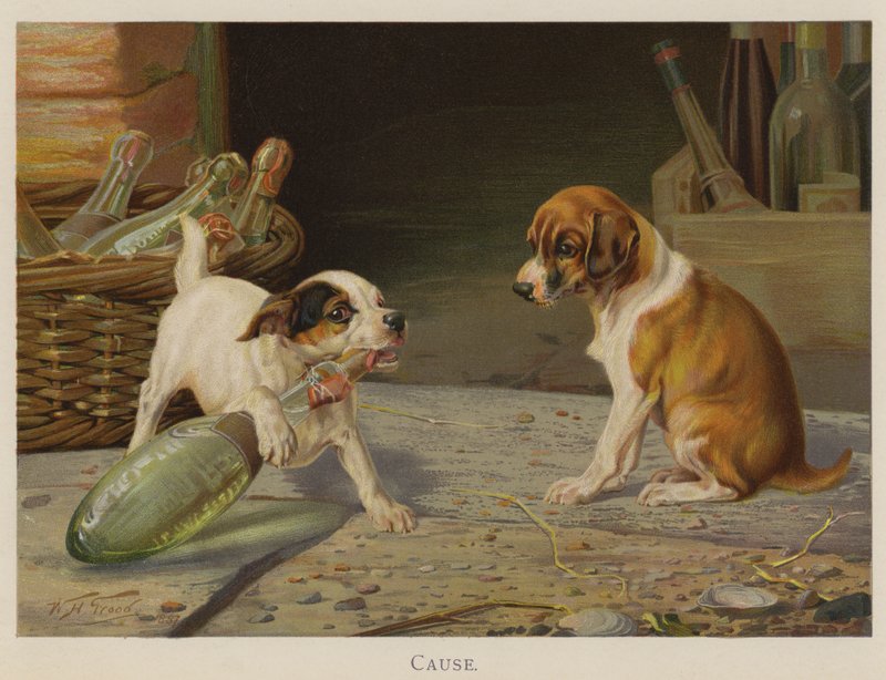 Ursache von William Henry Hamilton Trood