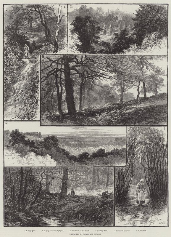 Skizzen im Highgate-Wald von William Henry James Boot